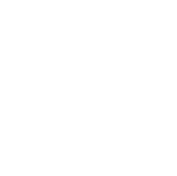 ONLINE SHOP